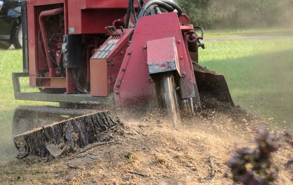 Fairfax Tree Removal
