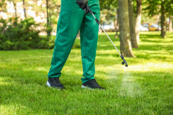 Fairfax Lawn Treatment