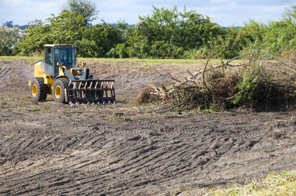 Fairfax Land Clearing